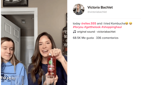 Influencer marketing Tiktok