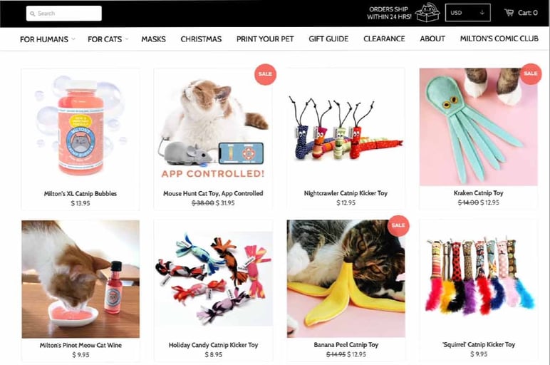 Dropshipping example in ecommerce
