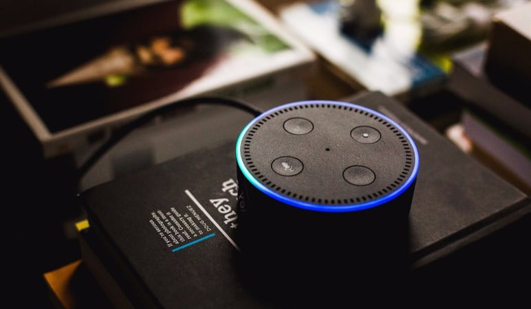 Voice assistants in ecommerce
