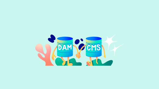 Sistema DAM y CMS