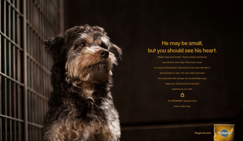 pedigree-lee-clow-ad