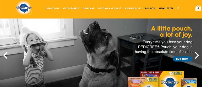 Yellow ecommerce Pedigree